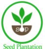 seedplantation.com
